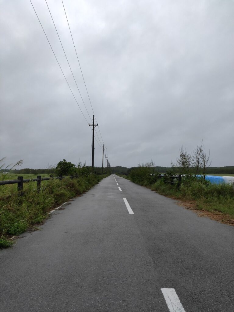 黒島観光　子連れおすすめ　徒歩で観光