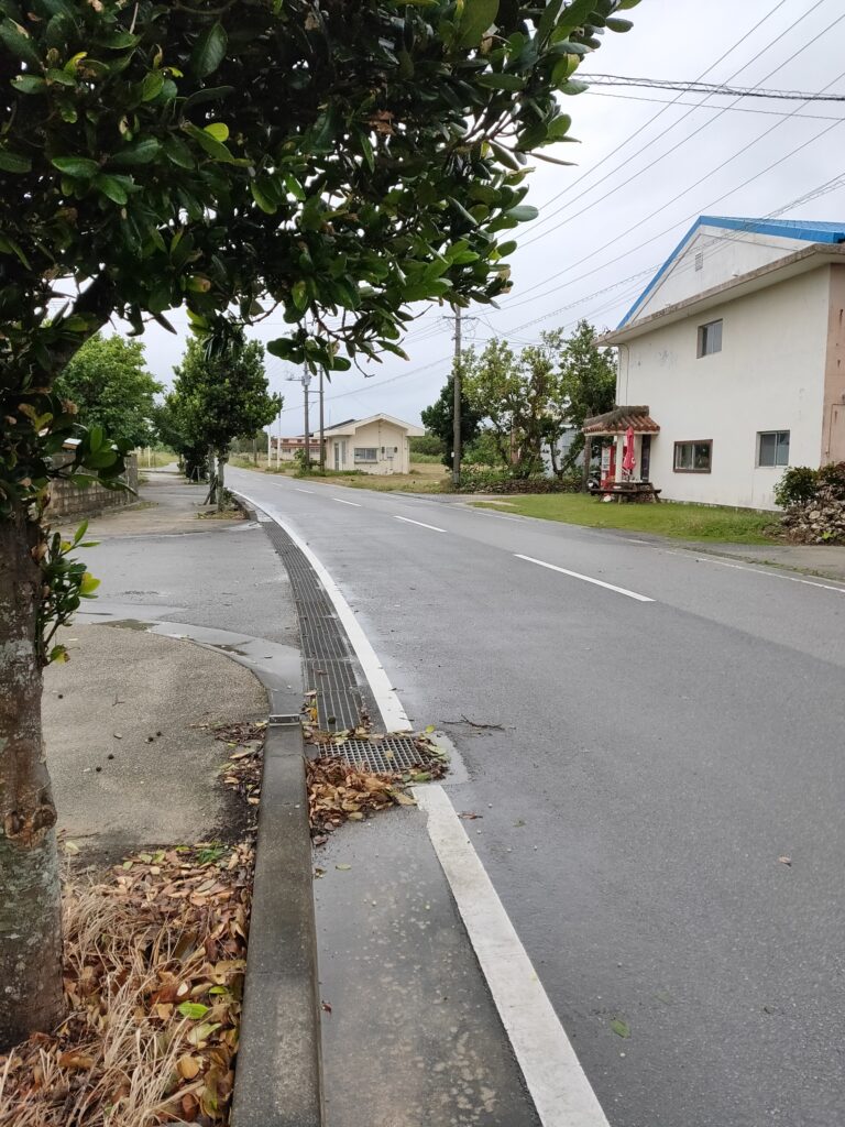 黒島観光　子連れおすすめ　徒歩で観光