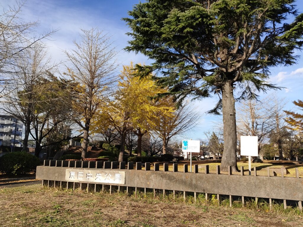 辰巳中央公園　入口