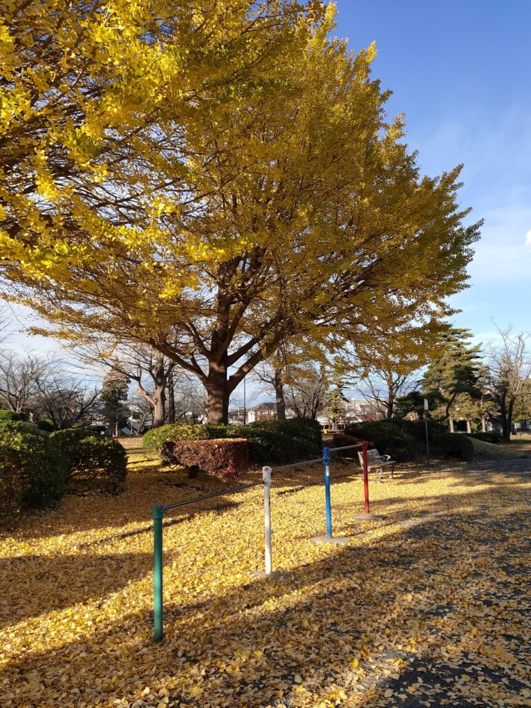 紅葉おすすめ公園