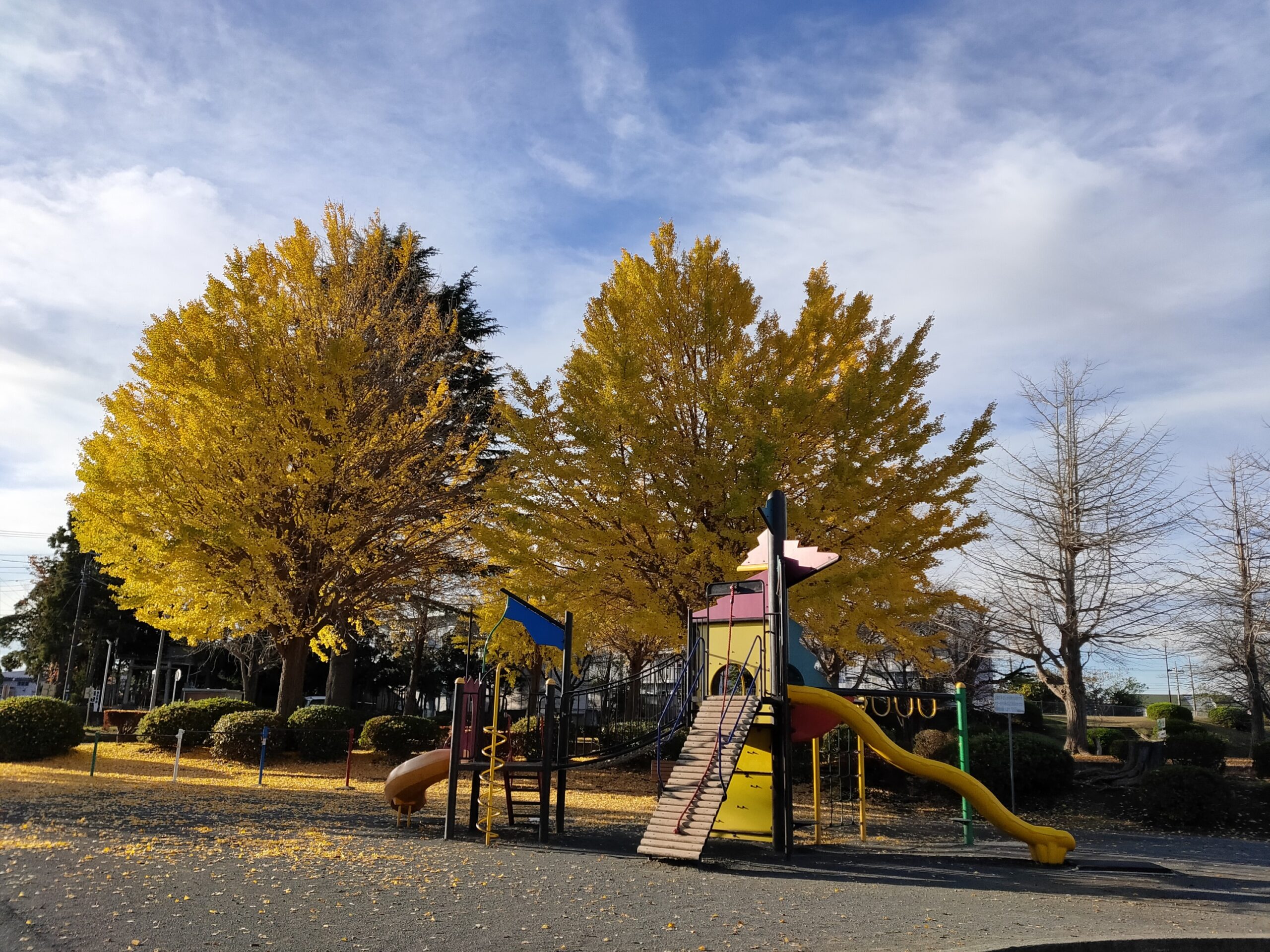 子連れで紅葉おすすめ