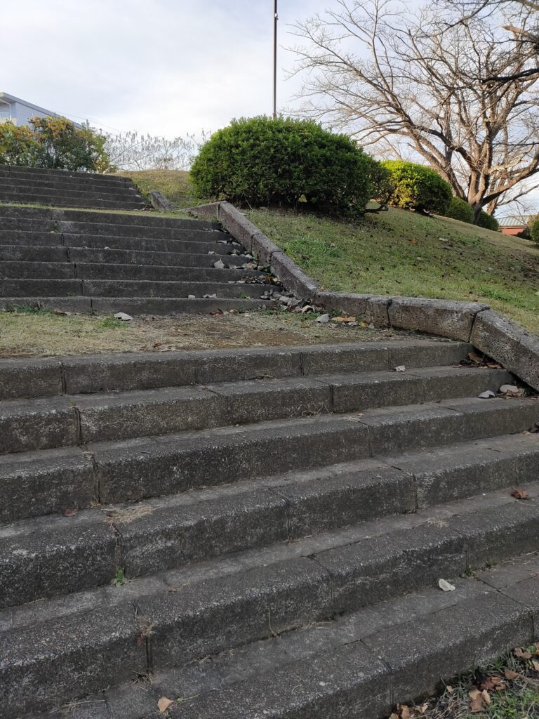 辰巳中央公園　市原