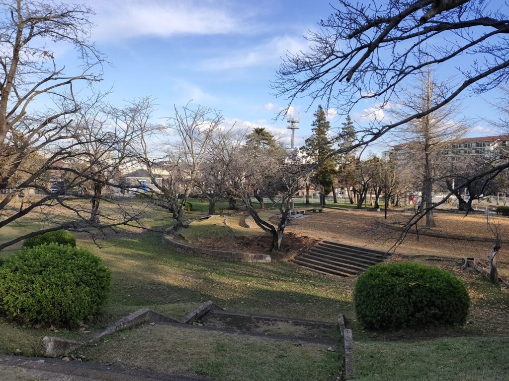 辰巳中央公園　広い